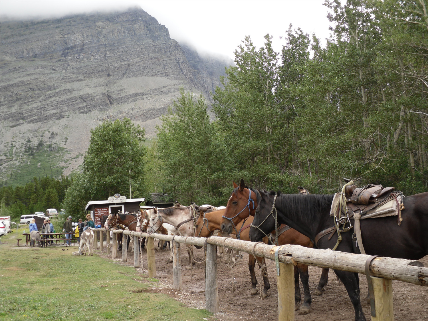 Glacier National Park-Horses at the Many Glaciers Horse stable.